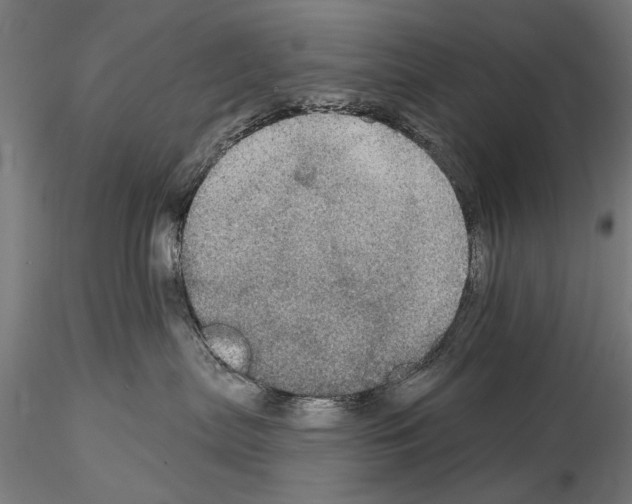 X0000114610287200912010944