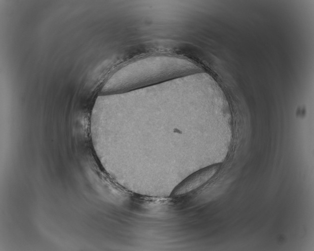 X0000114610288200912010944