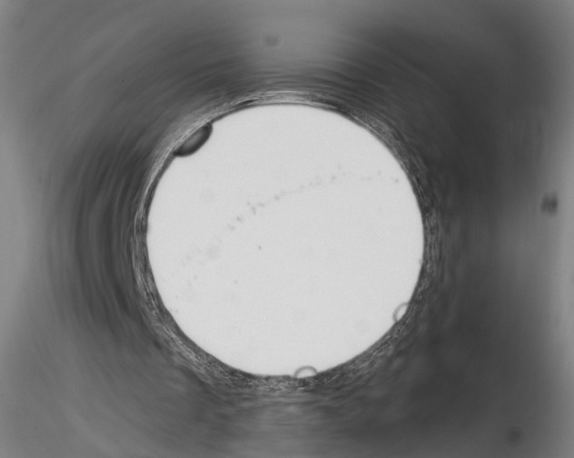 X0000114610289200912010944