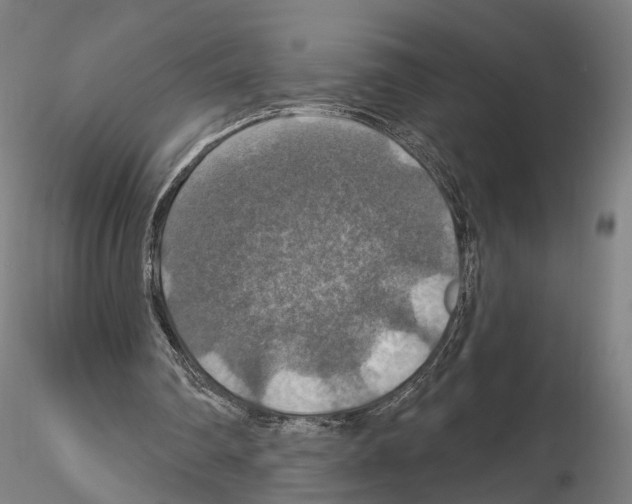 X0000114610290200912010944