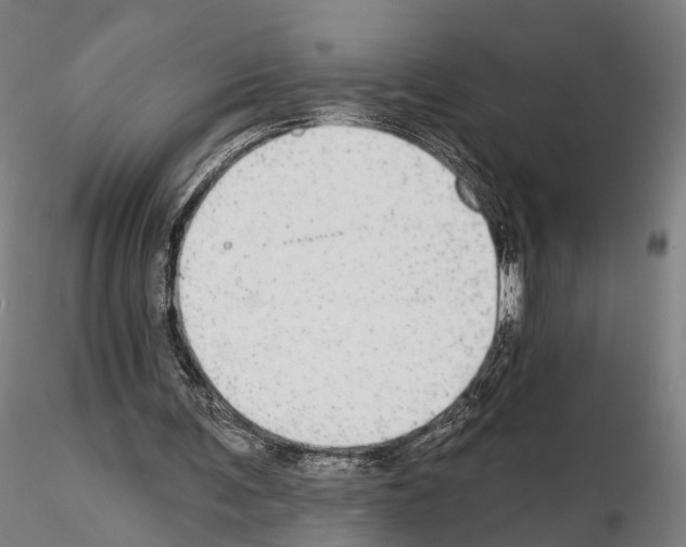 X0000114610291200912010944