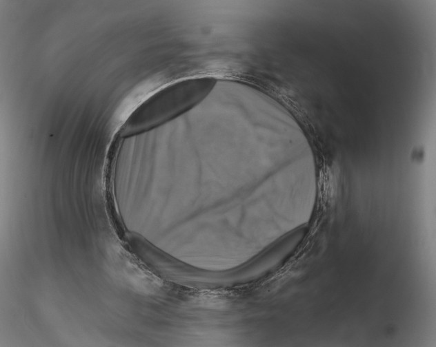 X0000114610292200912010944