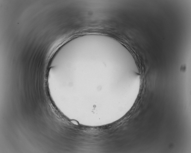 X0000114610293200912010944