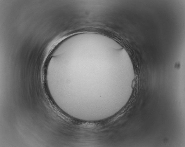 X0000114610294200912010944