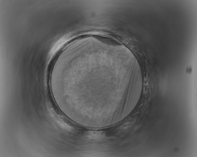 X0000114610296200912010944