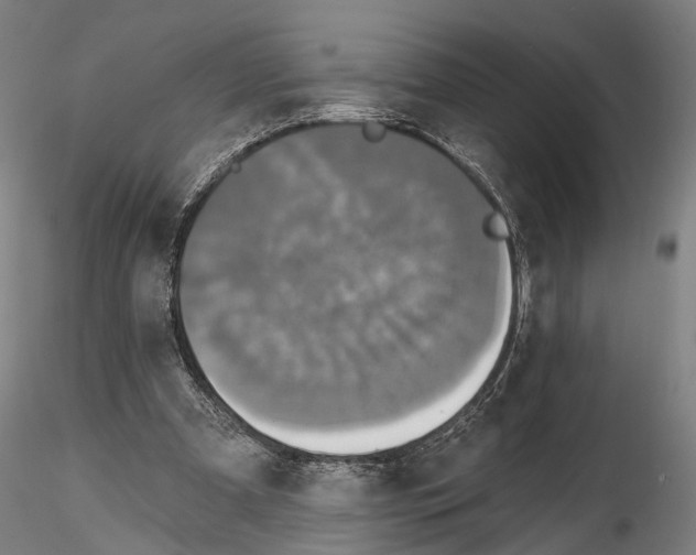 X0000114610297200912010944