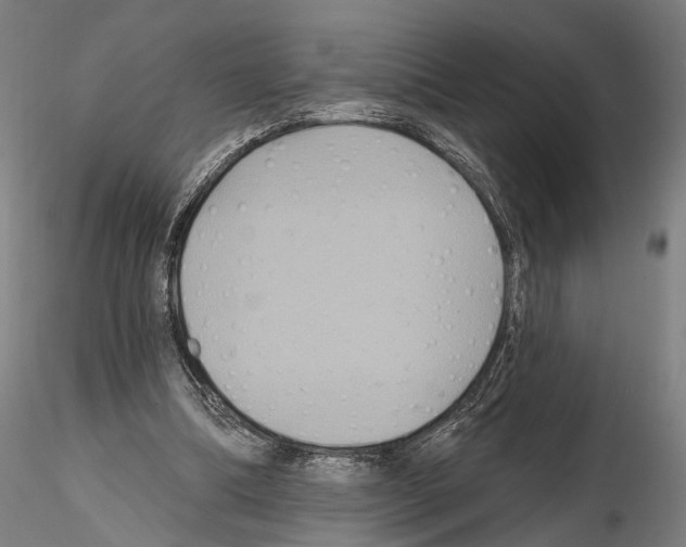 X0000114610298200912010944