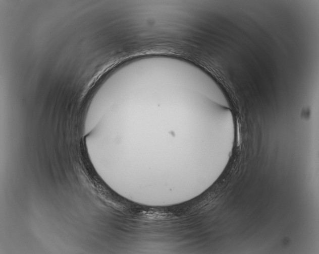 X0000114610300200912010944