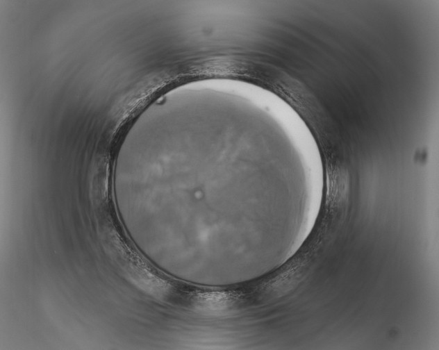 X0000114610301200912010944