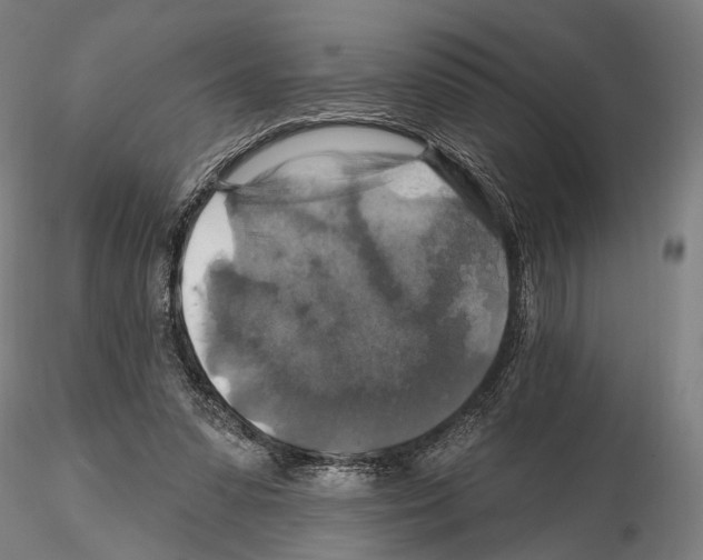 X0000114610303200912010943