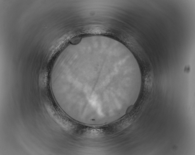 X0000114610304200912010943