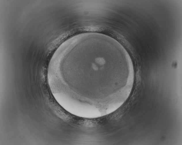 X0000114610305200912010943