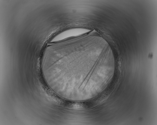 X0000114610308200912010943