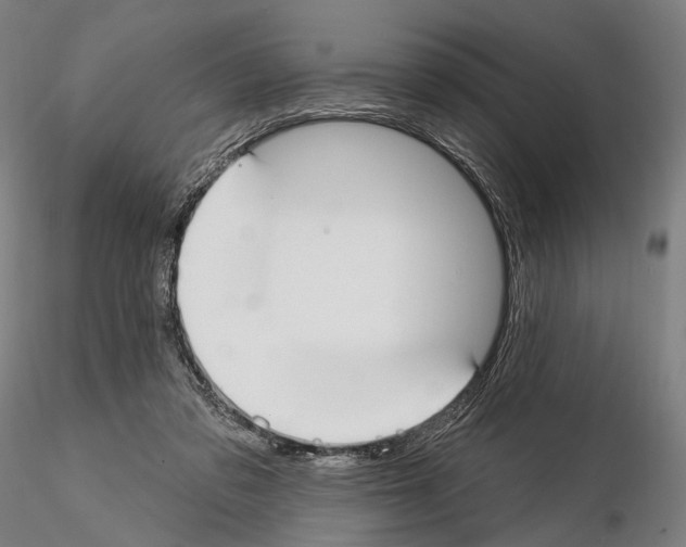 X0000114610309200912010943