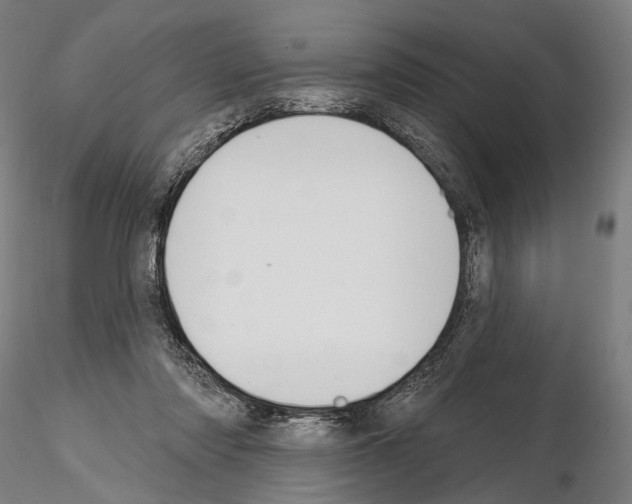 X0000114610310200912010943