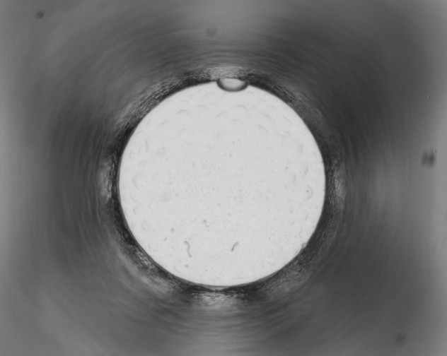 X0000114610311200912010943