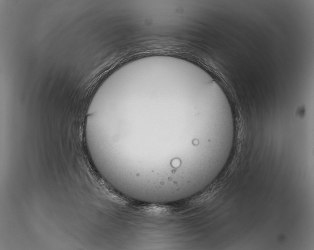 X0000114610313200912010943