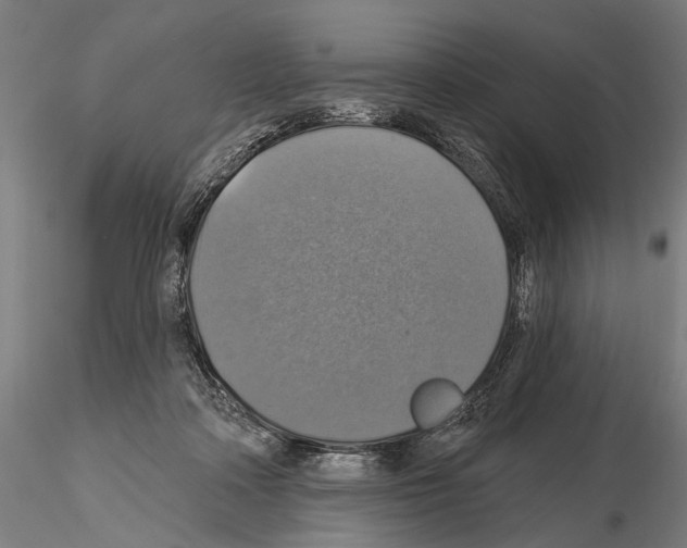 X0000114610314200912010943