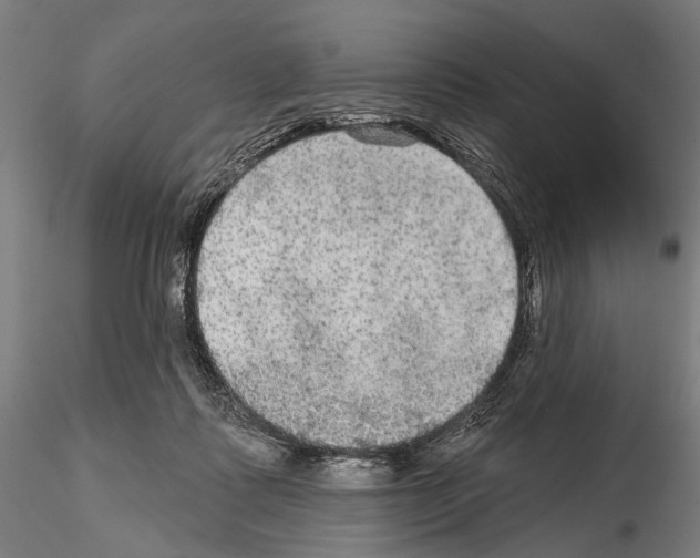 X0000114610315200912010943