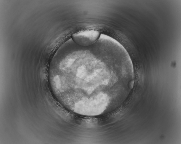 X0000114610317200912010943