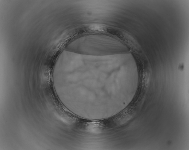 X0000114610320200912010943