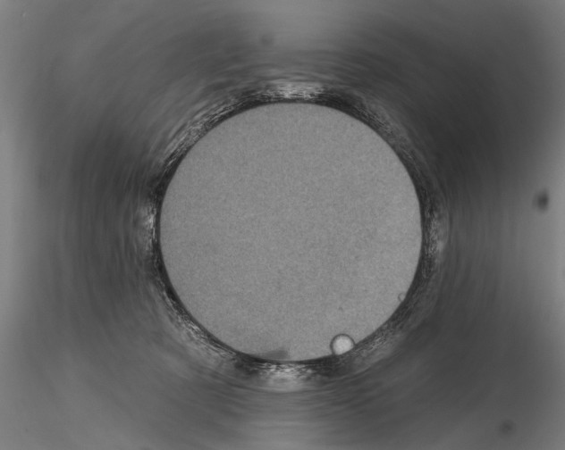 X0000114610321200912010943