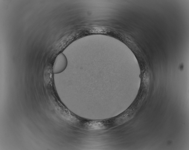 X0000114610322200912010943