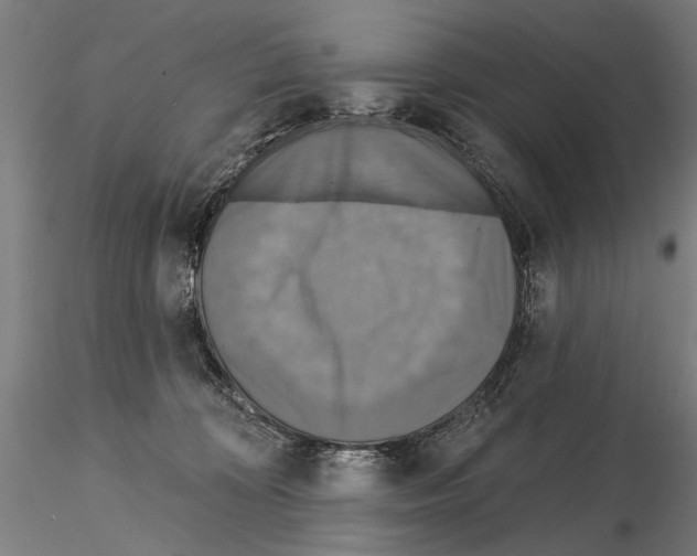 X0000114610324200912010943