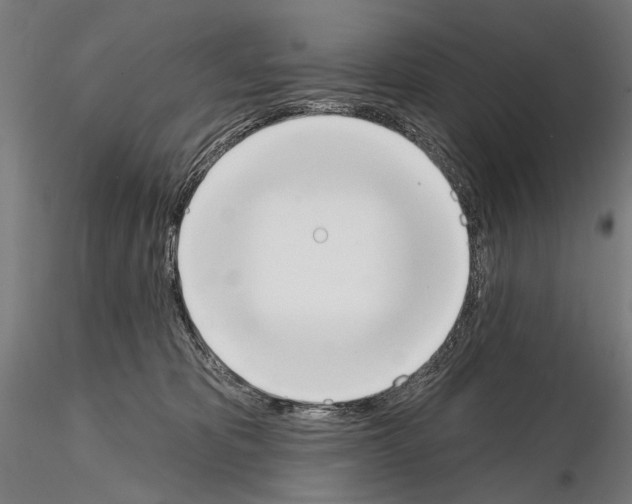 X0000114610325200912010943