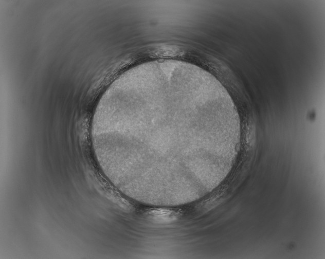 X0000114610326200912010943