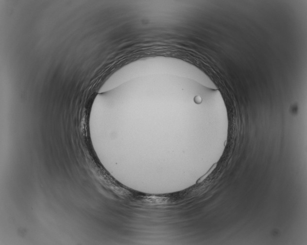 X0000114610328200912010943