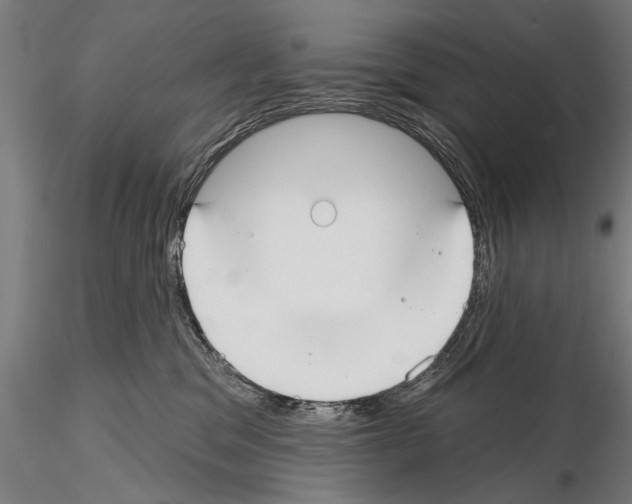 X0000114610329200912010943