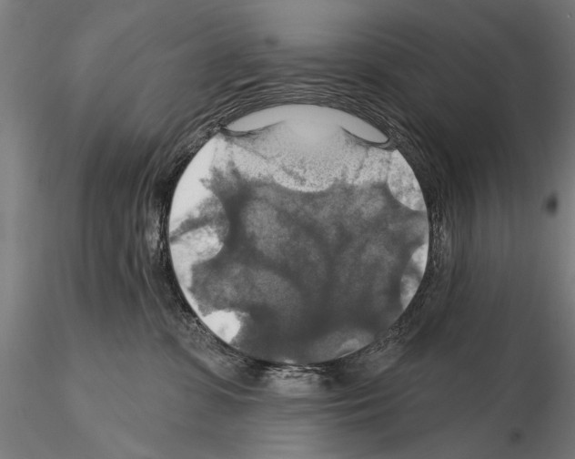 X0000114610331200912010943