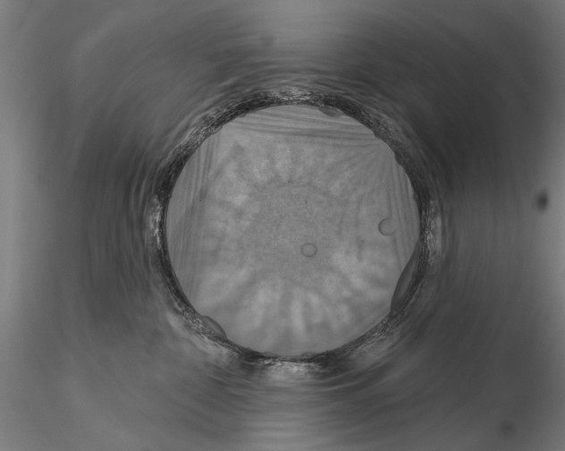 X0000114610332200912010943