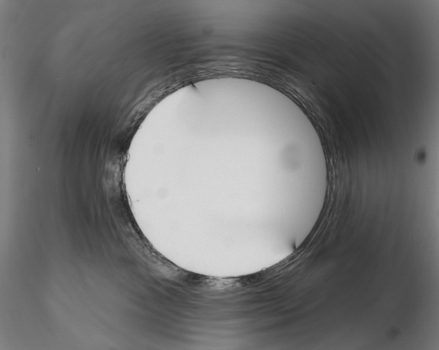 X0000114610333200912010943