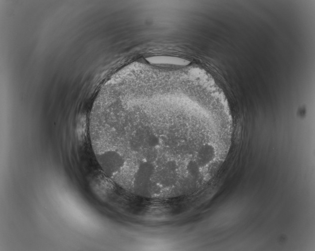 X0000114610335200912010943