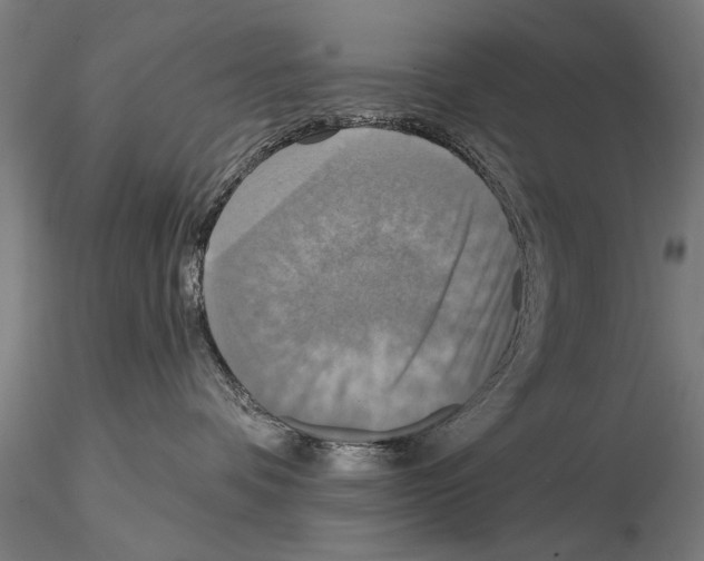 X0000114610336200912010943