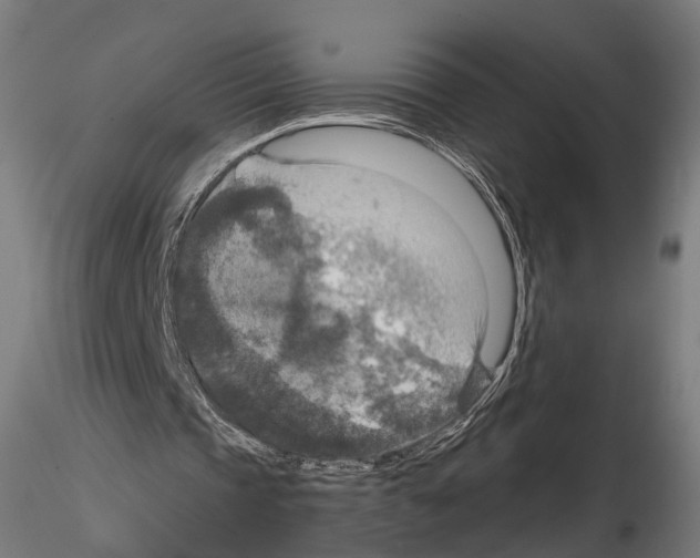 X0000114610337200912010942