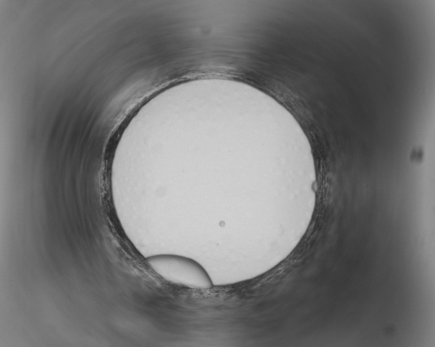 X0000114610338200912010942