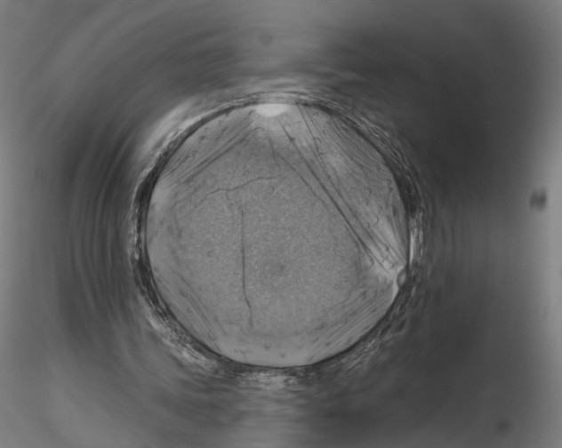 X0000114610339200912010942