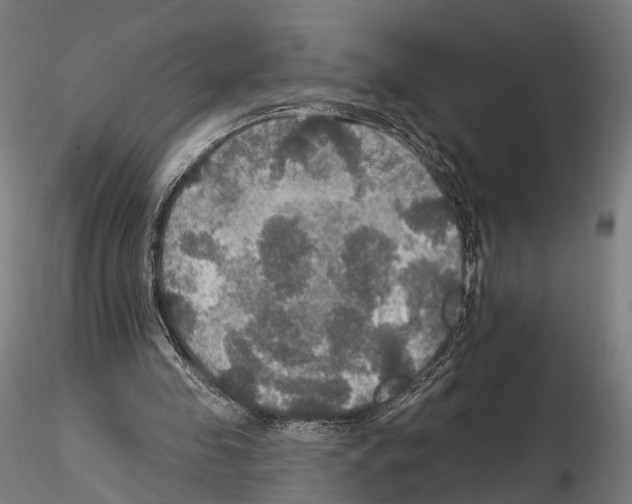 X0000114610341200912010942