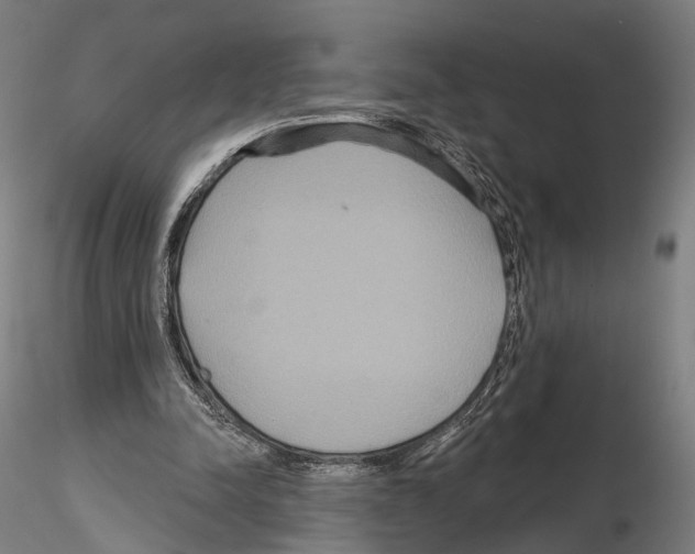 X0000114610342200912010942