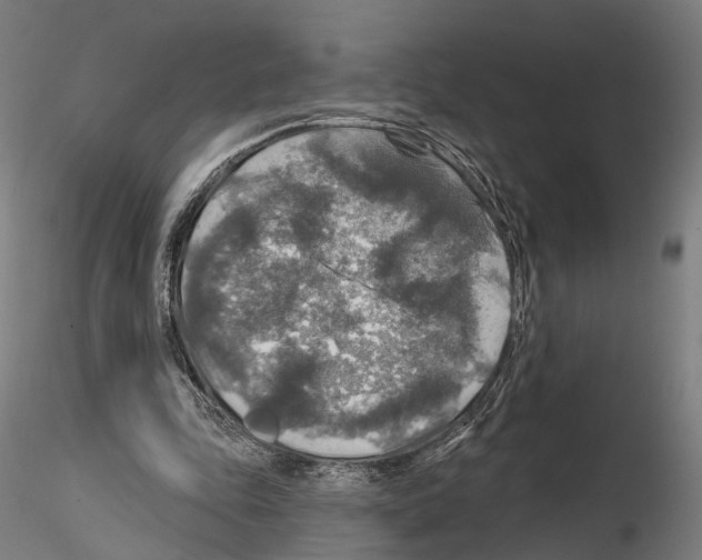 X0000114610343200912010942