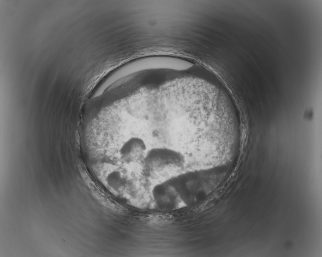 X0000114610345200912010942