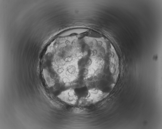 X0000114610346200912010942