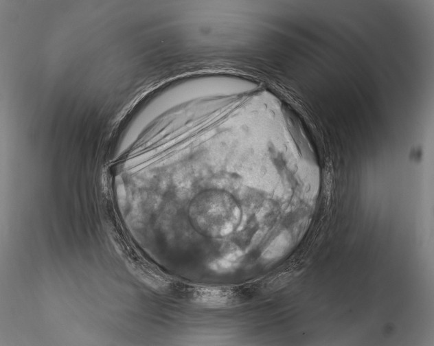 X0000114610347200912010942