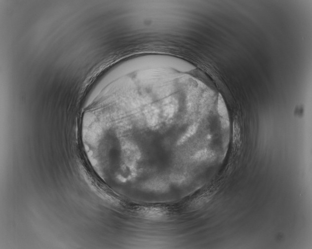 X0000114610349200912010942