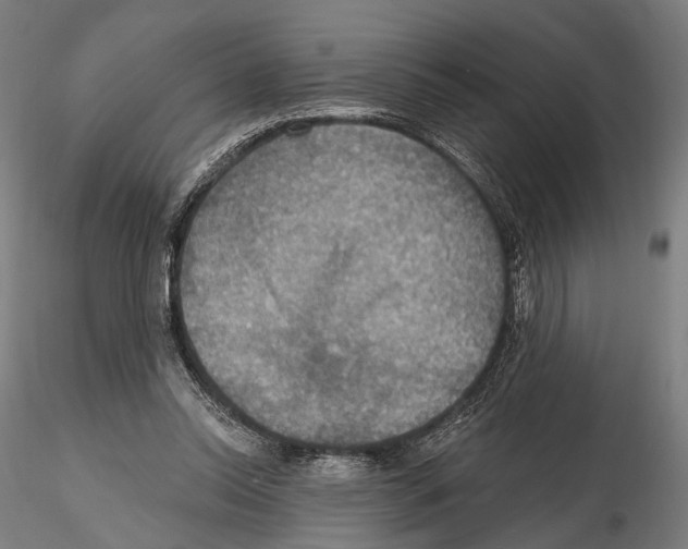 X0000114610350200912010942