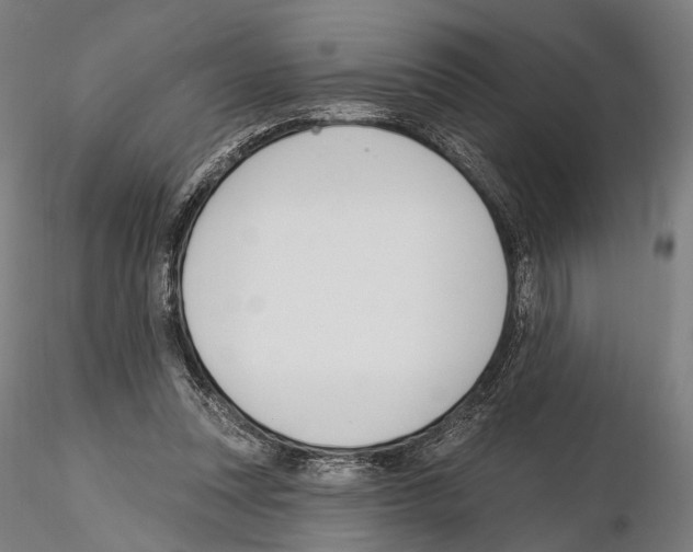 X0000114610351200912010942