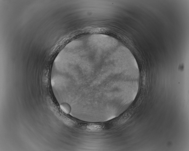 X0000114610357200912010942